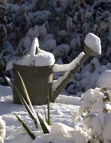 gardening-tools-winter