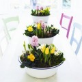 tulips-hyacinth-primrose