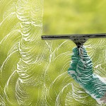 Window Cleaning Tips