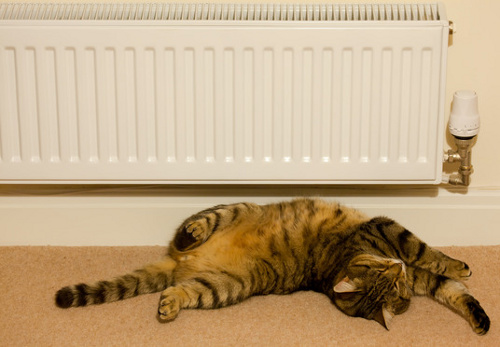 Central Heating System Maintenance